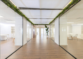 ACTIVIDAD - REFORMA Y RENOVACIÓN DE OFICINAS 3 ACTIVIDAD - REFORMA Y RENOVACIÓN DE OFICINAS 3