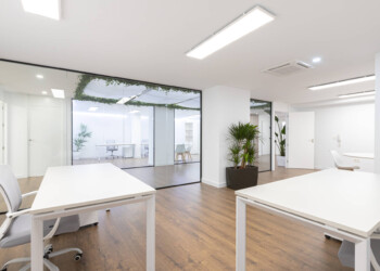 ACTIVIDAD - REFORMA Y RENOVACIÓN DE OFICINAS 5 ACTIVIDAD - REFORMA Y RENOVACIÓN DE OFICINAS 5