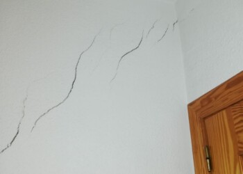 INFORME Y PATOLOGÍAS 2 INFORME Y PATOLOGÍAS 2