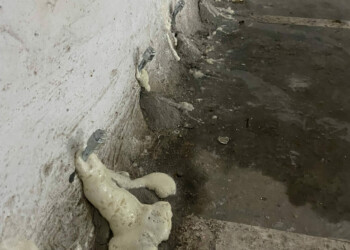 INYECCIONES FILTRACIONES GARAJE 1 INYECCIONES FILTRACIONES GARAJE 1